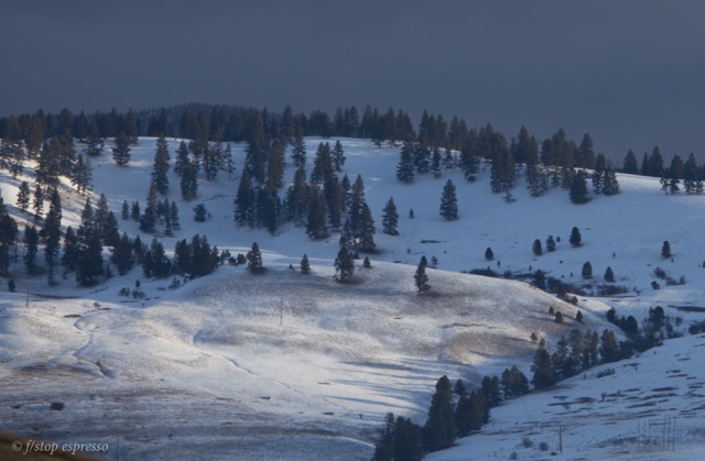 a few rays of sunshine