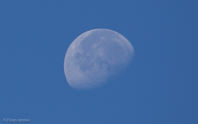 1st Cup of Coffee Moon